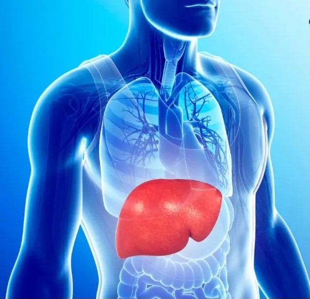 نکاتی در مورد کبد چرب